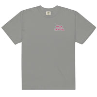 F*ck FanDuel T-Shirt  (Pink Font)